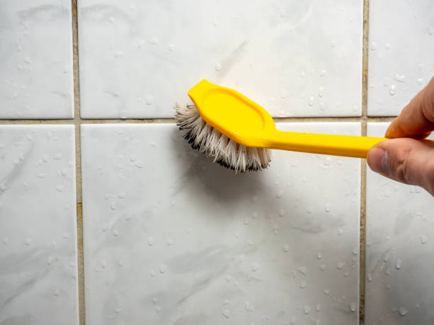 Best Local Mold Removal Service  in Spring Creek, NV