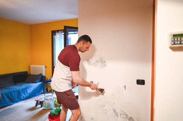 Best Certified Mold Removal  in Spring Creek, NV